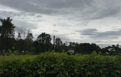 0 Beasley Road, Benson, NC 27504