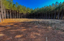 609 Barker Road, Morton, MS 39117