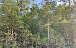 01 Old Bragg Road, Kountze, TX 77625