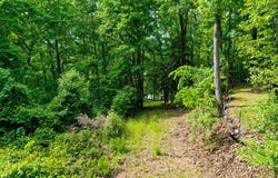 Watson Spur RD, Georgetown, GA 39854