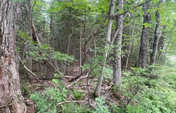 80 Gammon Road, Peru, ME 04290