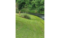 9999 Gabriels Creek, Mars Hill, NC 28754