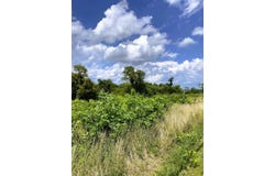 5 Ac Oak Ridge Road, Williamstown, KY 41097