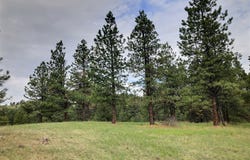 3 Rosie Lane, Jefferson City, MT 59638