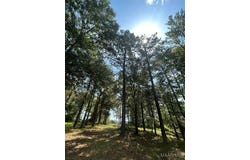 3 Prairie Bluff Drive, Catherine, AL 36728