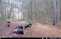 00560 Pocahontas Road, Flora, MS 39071