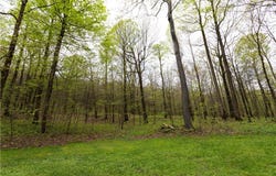 Lot 20 Pheasant Run Lane, Seven Springs Resort, PA 15622