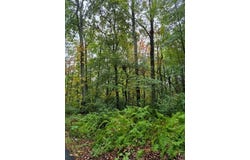 Blackmer Rd, Southbridge, MA 01550