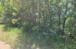 VL ROUND LAKE DRIVE, FENNVILLE, MI 49408