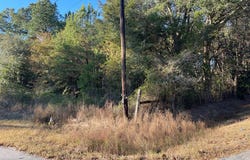 Hamilton Drive, Albany, GA 31721