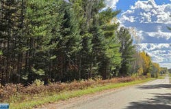 TBD 28.9 Rangeline Rd, Orr, MN 55771