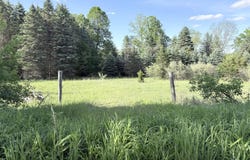 18 E Riverside Drive, Ionia, MI 48846