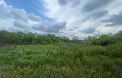 Tbd Whitaker Rd, Bluegrove, TX 76365