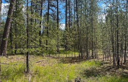 3792 M E Jump Off Rd, Valley, WA 99181