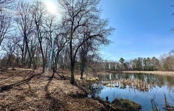Lot 16,1.03+/- Acres 295th Street, Holcombe, WI 54745