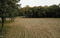 4222 Old Medina Road, Medina, TN 38355