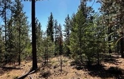 1 Orchard Heights RD, Goldendale, WA 98620