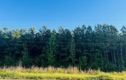 3122 State Hwy 184, Hemphill, TX 75948