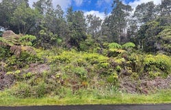 NAHELENANI ST, Volcano, HI 96785
