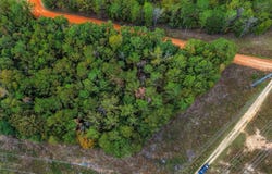 Haygood Rd, Gantt, AL 36421