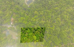 Lot 28 Prince Drive, Southside, AL 35907