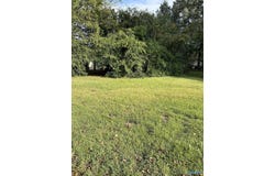 16-17-1 Jarmon Road, Guntersville, AL 35976