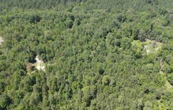 CHICOT Trail, Bismarck, AR 71929