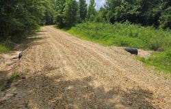 155 Ellison Road, Rison, AR 71665