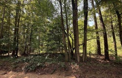 523 Lockner Road, El Dorado, AR 71730