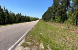 Greenburt Road, Seale, AL 36875