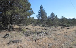 0 Ground Squirrel Drive, Bonanza, OR 97623