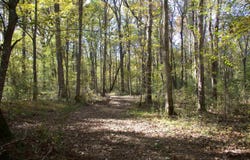 1761 CR-126 Rd, Walnut, MS 38683