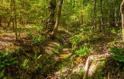 00 Princeton Highway, Honea Path, SC 29654