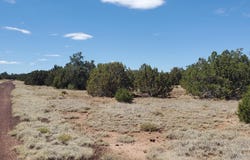17 County Road 8077, Concho, AZ 85924