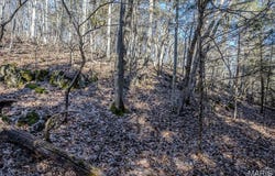 Tbd TBD - Possibly Compass Road, Dixon, MO 65459