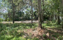 107 MARLIN DR, SATSUMA, FL 32189