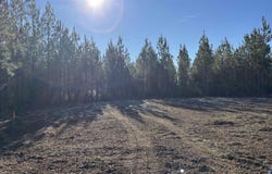 Straw Bridge Rd lot: 60, Jay, FL 32565