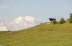 Knox Road, Thurman, IA 51654