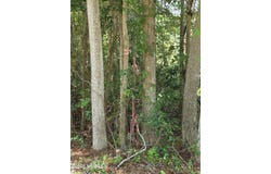 44 Pine Shores Drive, Southport, NC 28461