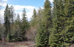 228 Arrowhead Drive, Whitefish, MT 59937