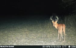 12663 Nicewarner  RD, Lincoln, AR 72744