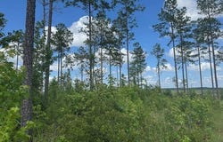 Lot 10 Tennille Oconee, Tennille, GA 31089