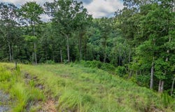 Lt 246 Spear Point Drive, Talking Rock, GA 30175
