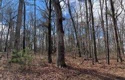 3871 Martin, Ellenwood, GA 30294
