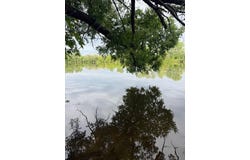 3903 Willow Drive NE, Grand Rapids, MI 49525