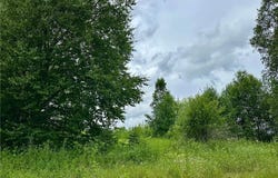 Lot 11 Block 1 Opah's Landing, Aitkin, MN 56431