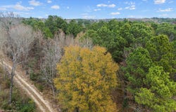 Ward, Marshall, TX 75670