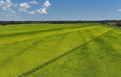 Highway 49, Brinkley, AR 72021
