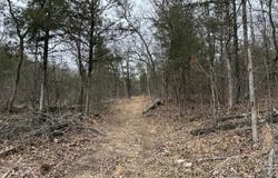 Buck Ridge Lane, Williford, AR 72482