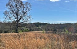 00 Idlewild Hollyleaf Road, Milan, TN 38358